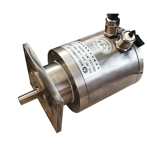 水下10米潛水電機 防海水腐蝕